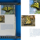 Illustration for article titled For $20, Make Your Own Ebooks